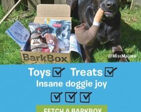 BarkBox Black Friday, Cyber Monday, & Holiday Sales 2022